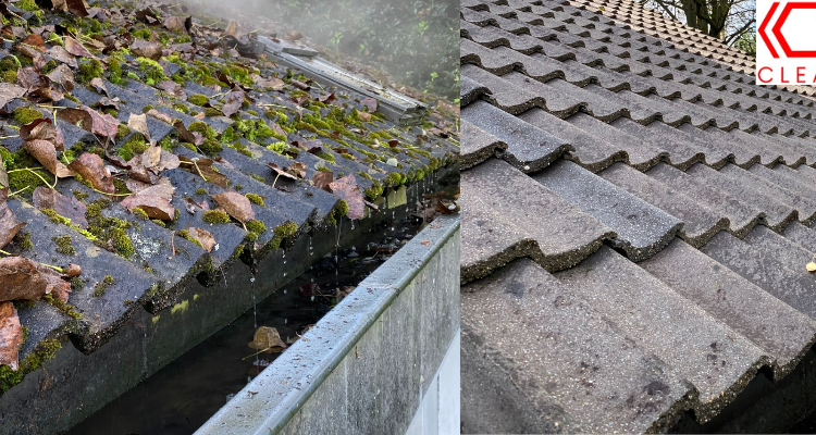 Ontmossing reiniging en impregneren van daken in Limburg
